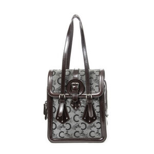 Celine Flap Buckle Shoulder